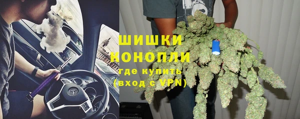 СК Бородино