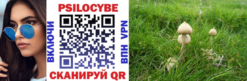 Псилоцибиновые грибы Psilocybe Городище